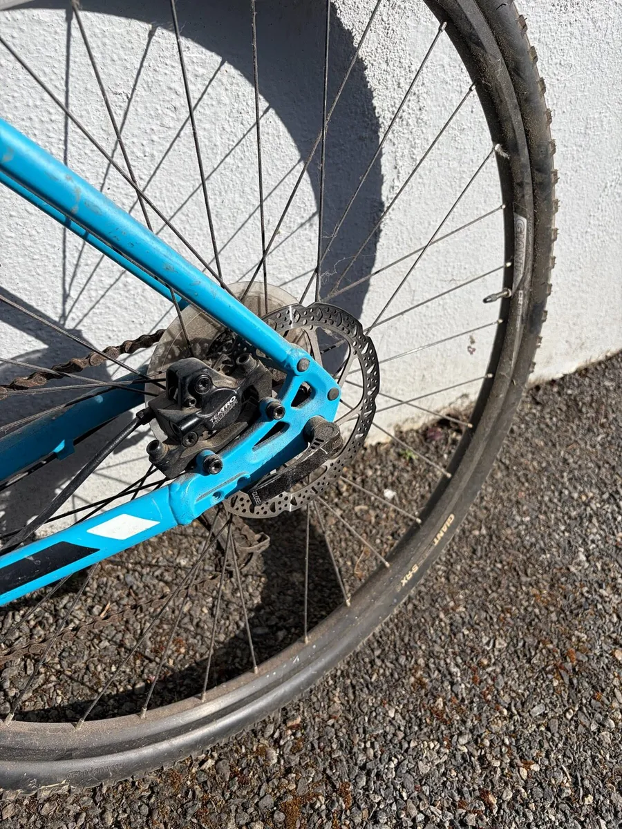 Giant hybrid bike - Image 4