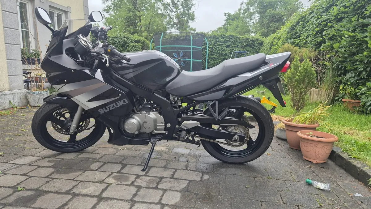 Suzuki GS500F 2005 - Image 4