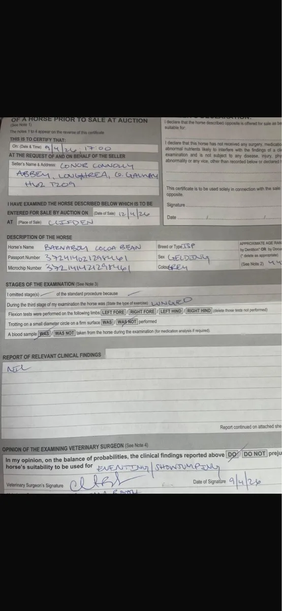 Clifden Sales April 2026 - Image 1