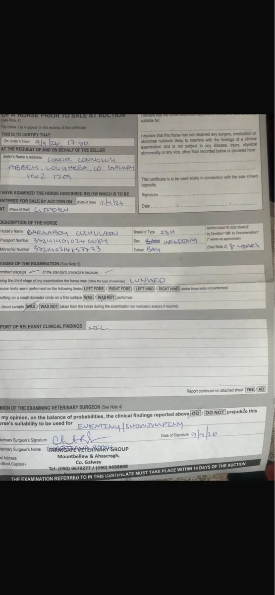 Clifden Sales April 2026 - Image 2