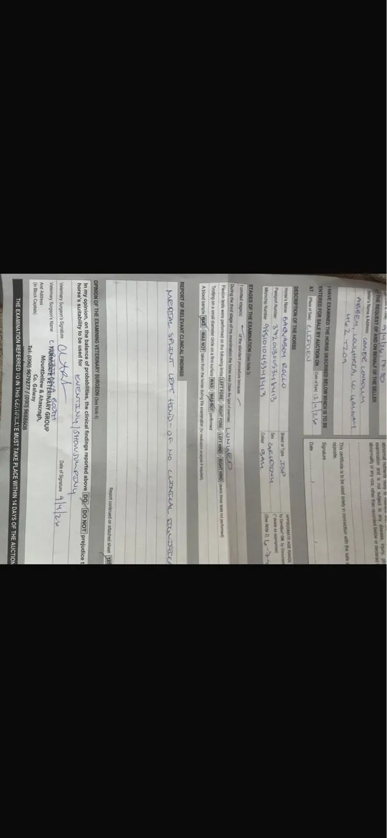 Clifden Sales April 2026 - Image 3