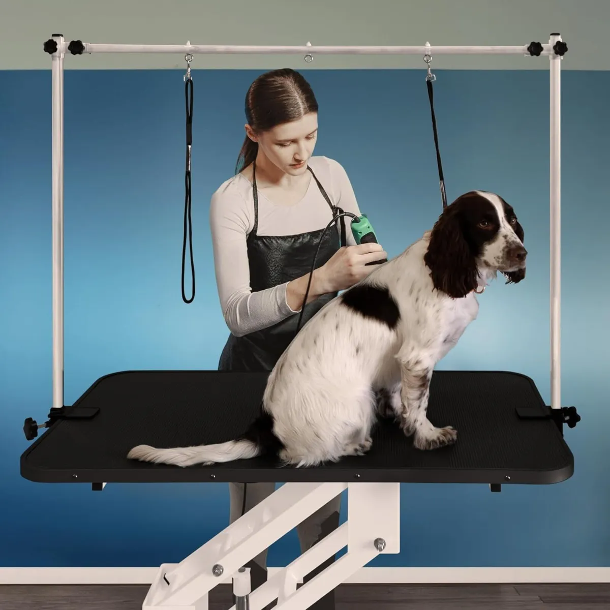 Dog Grooming Table Hydraulic ..Free Delivery - Image 1
