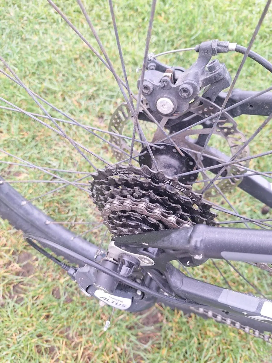 Carrera Vengeance - Image 4