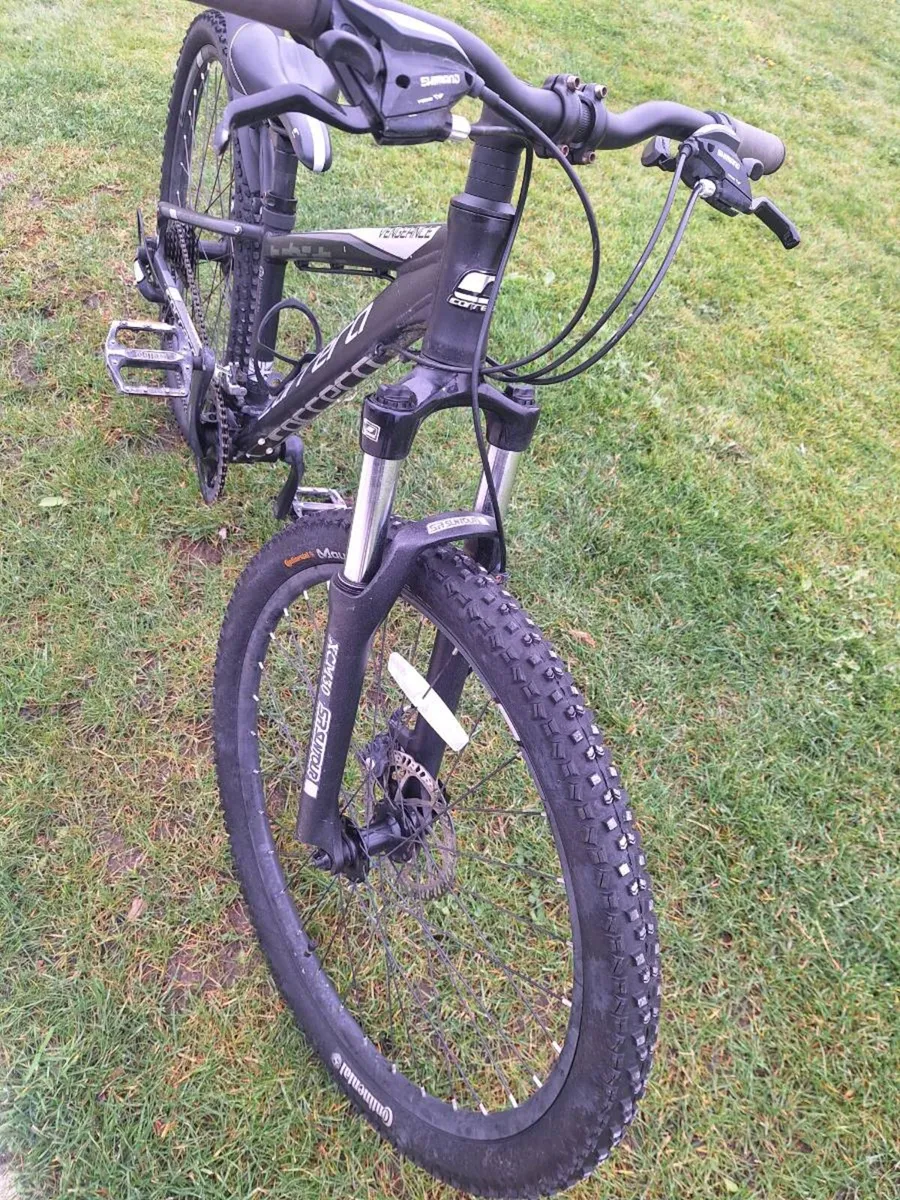 Carrera Vengeance - Image 3