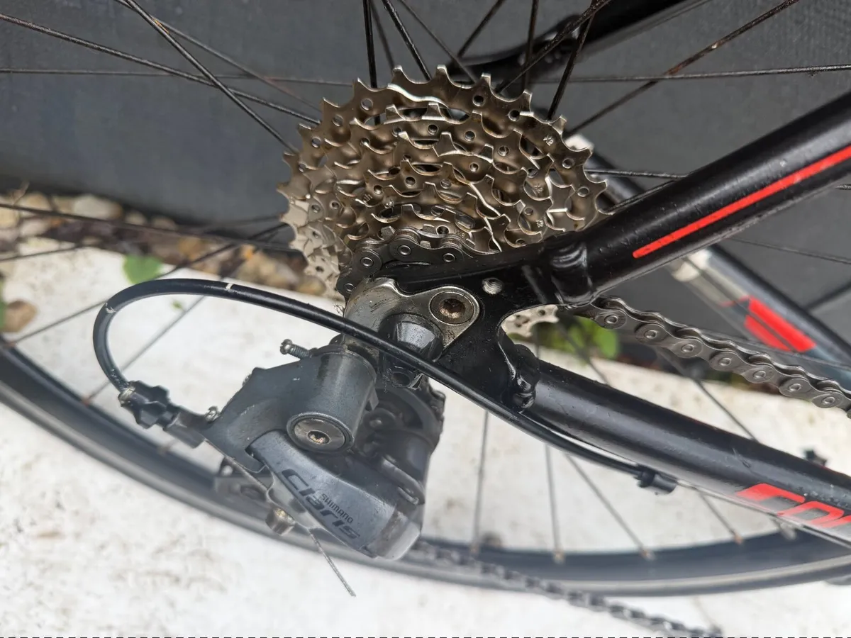 Carrera Virtuoso❗️Open 7 days of the week ❗️ - Image 2