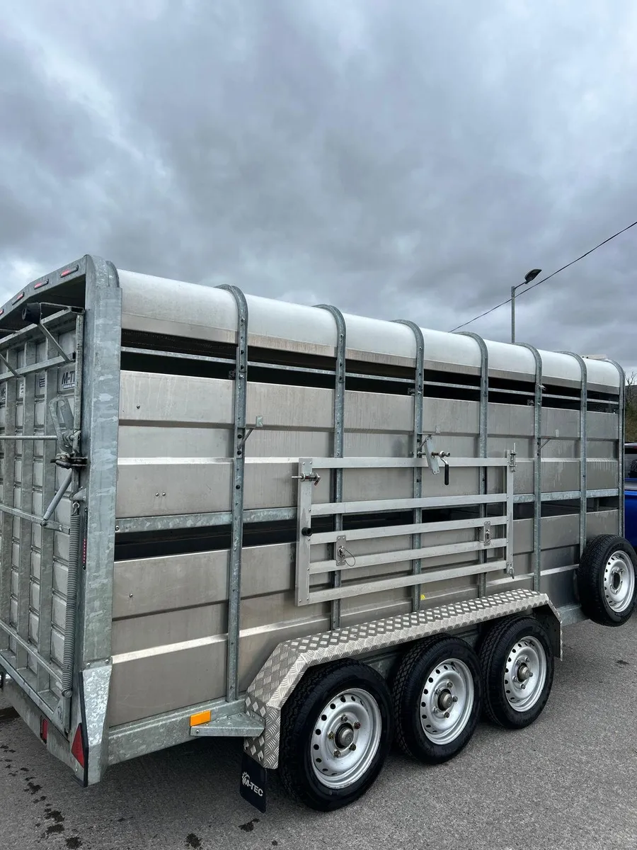 M-Tec Cattle Trailer - Image 1