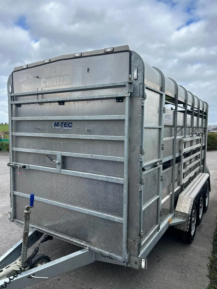 M-Tec Cattle Trailer - Image 2