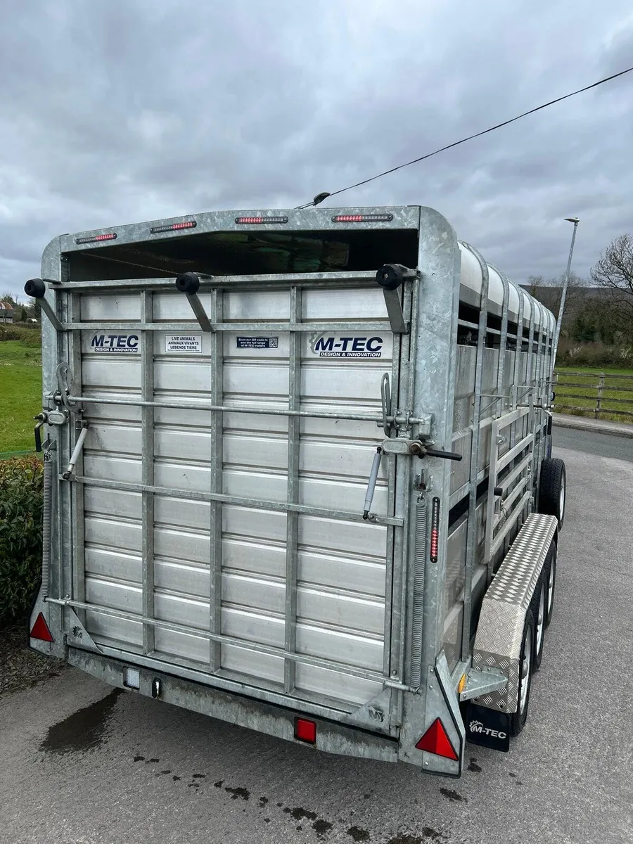 M-Tec Cattle Trailer - Image 3