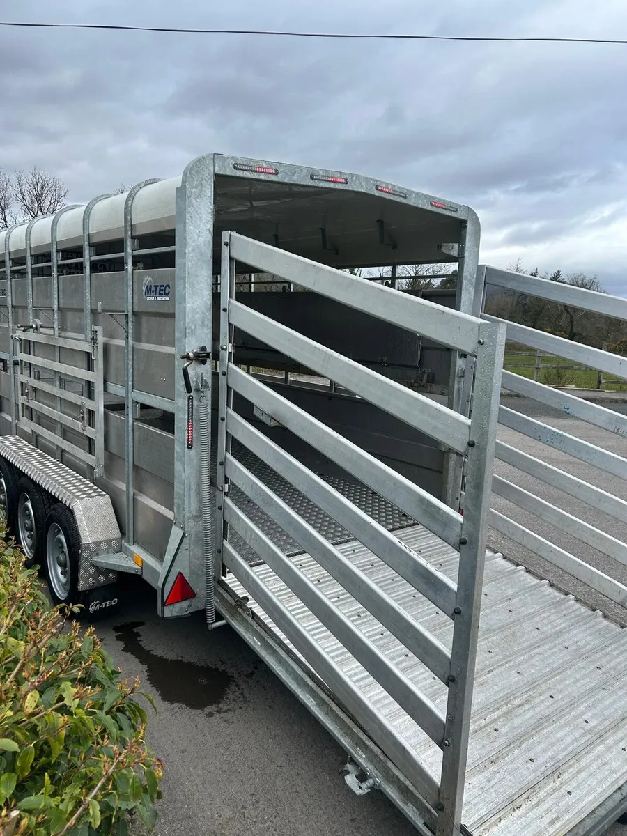 M-Tec Cattle Trailer - Image 4