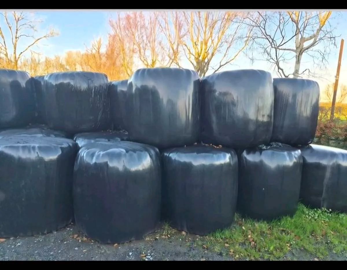 Silage Hay Haylage - Image 1