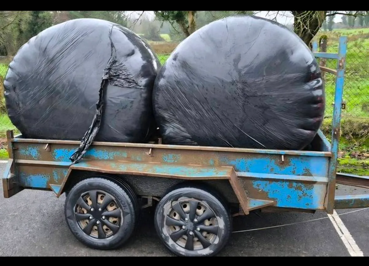 Silage Hay Haylage - Image 4