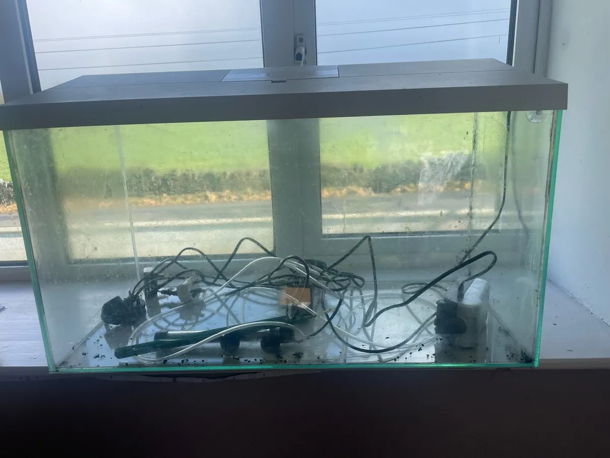 200 gallon fish tank - Image 4