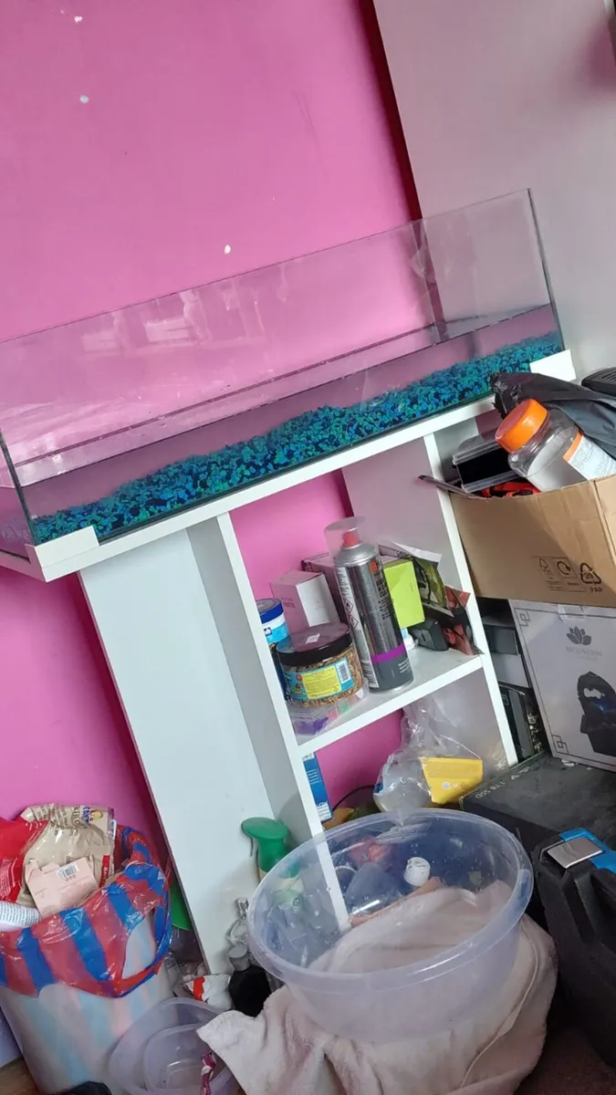 Turtle and full tank setup