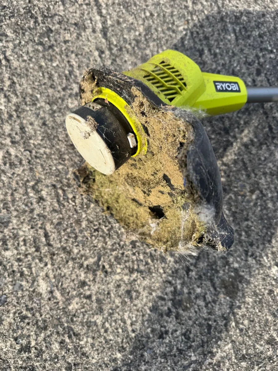 Ryobi EasiEdge Cordless Trimmer (no battery) - Image 2