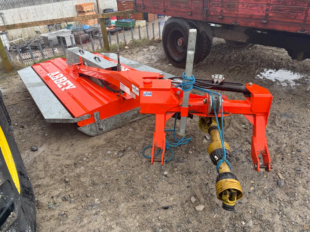 Auction Yard Full @ Portlaoise - Image 4