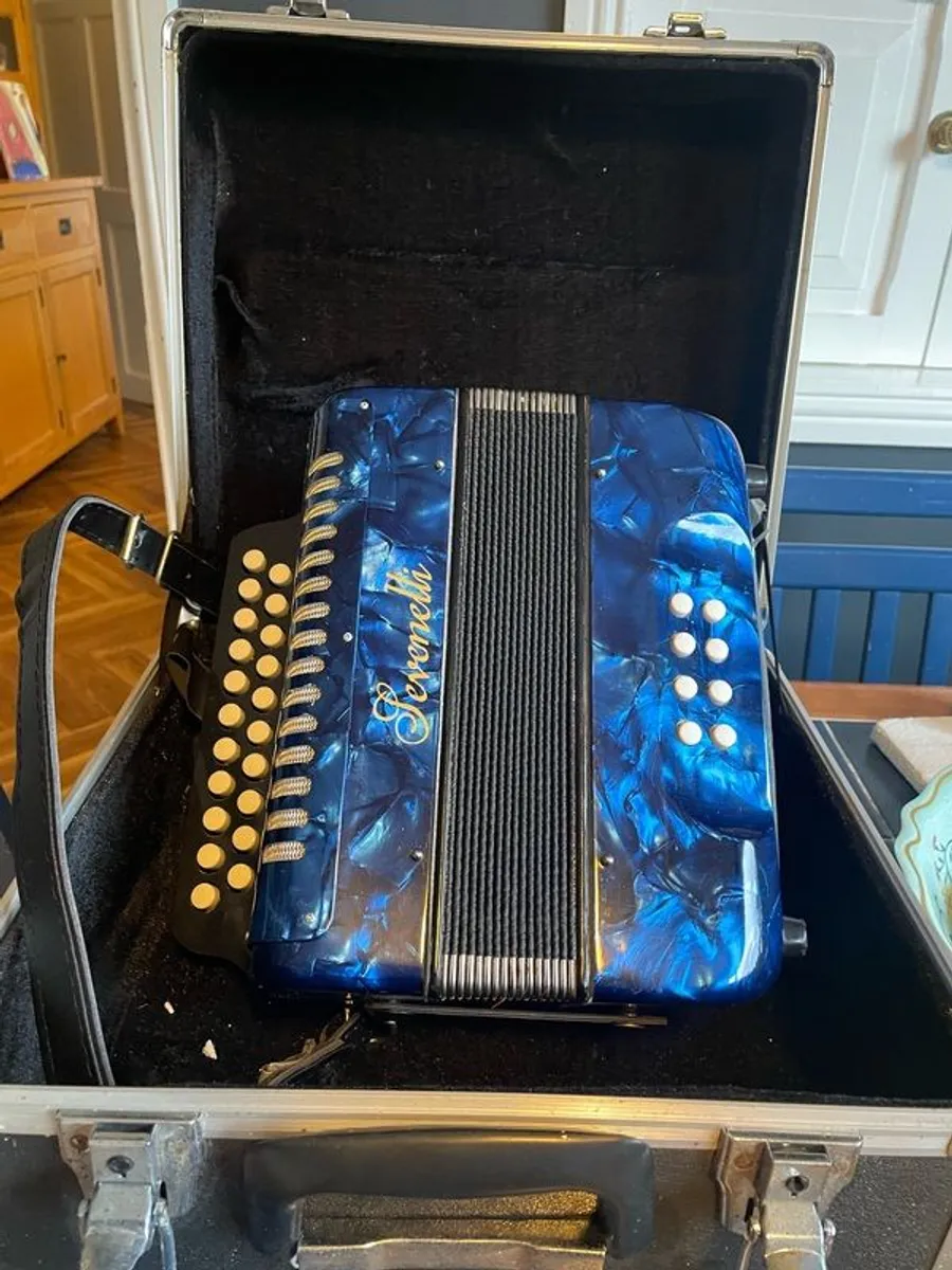 Button Accordion - Image 1