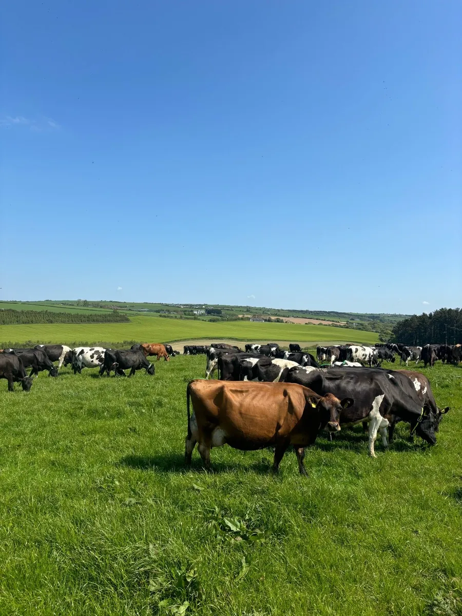 Contract Rearer wanted