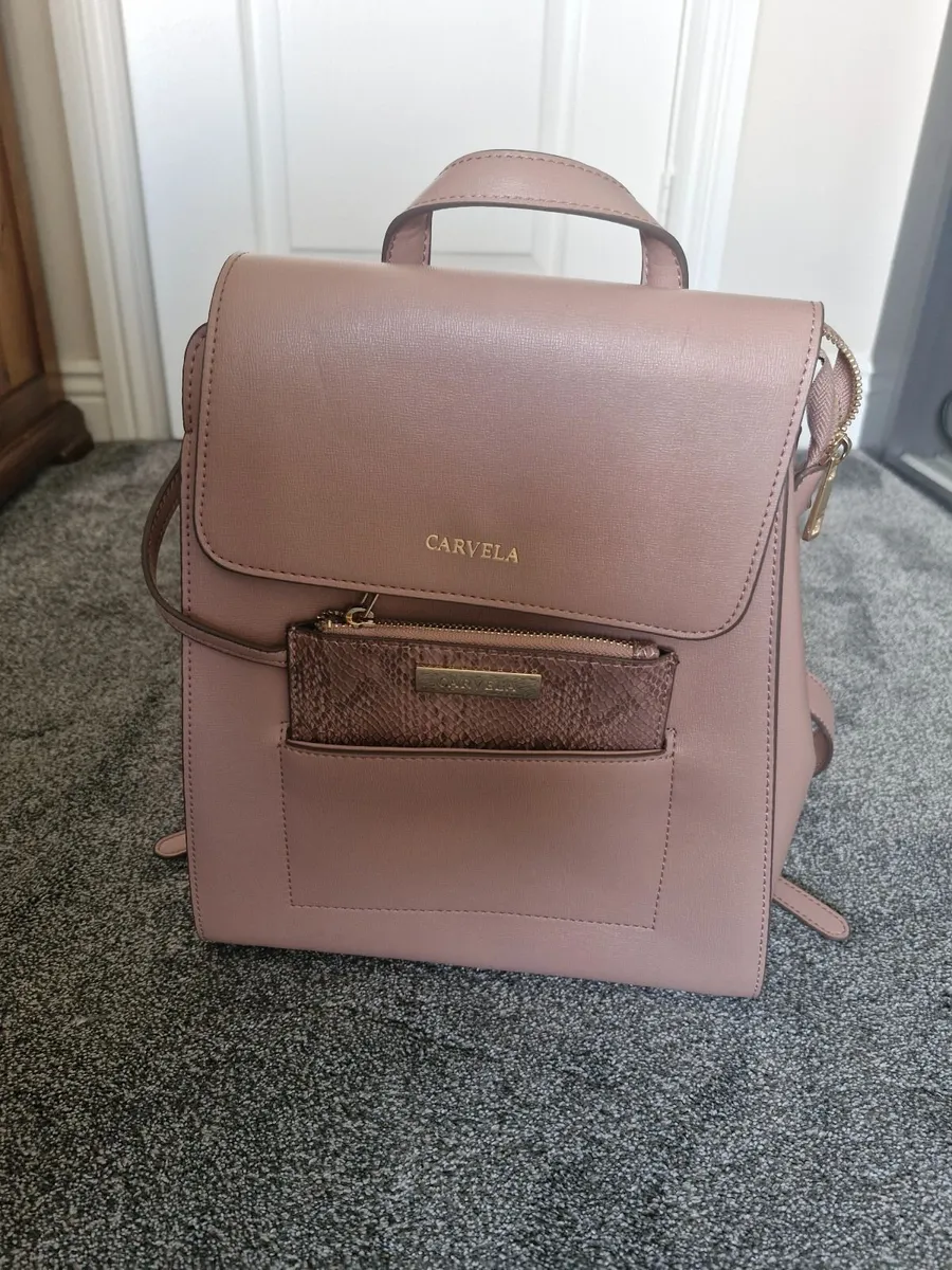 Pink Carvela backpack - Image 1