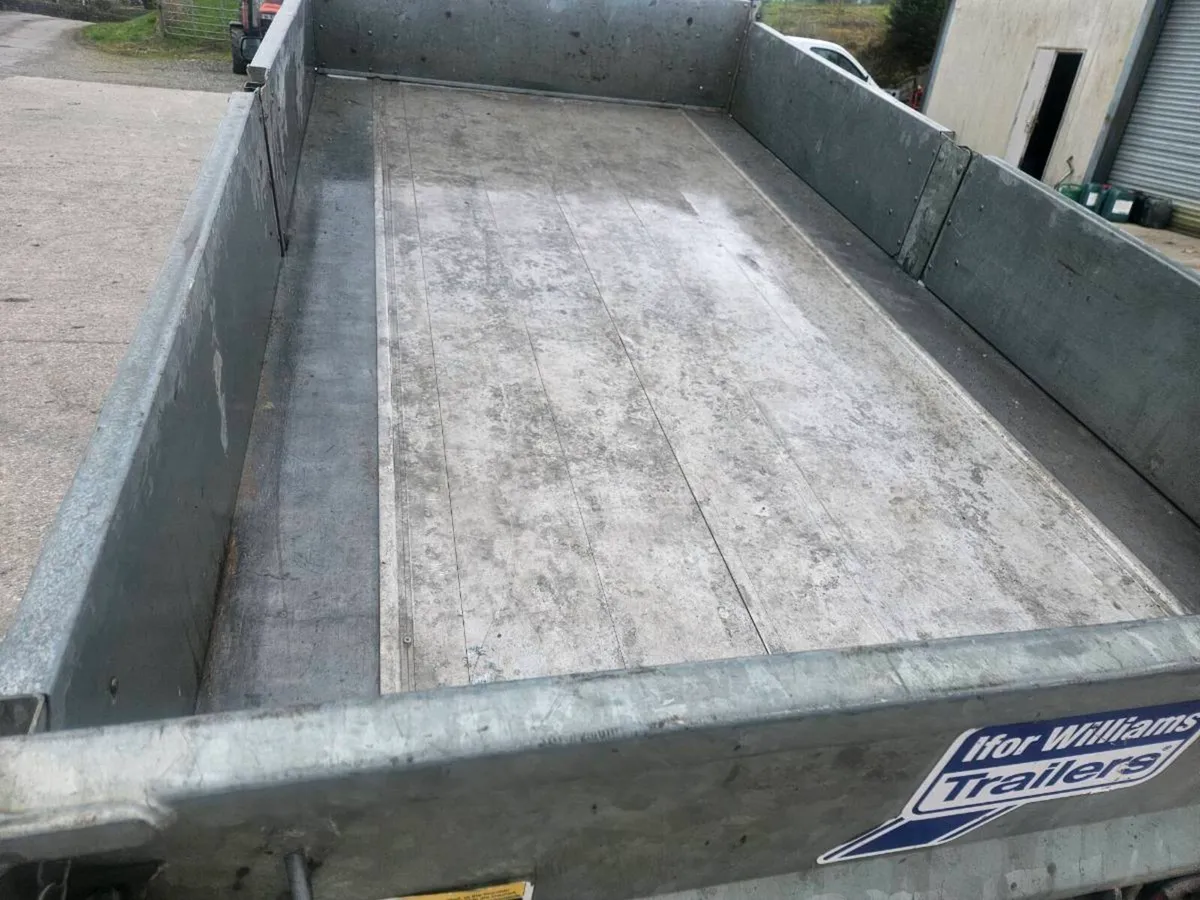 Tipping trailer ifor Williams - Image 3