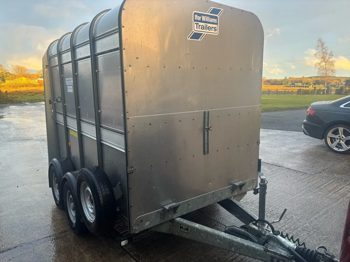 8x5 Ifor Williams Livestock Trailer as new - Image 1