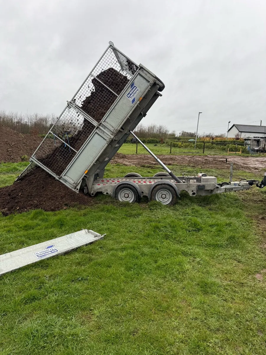 2tonne Digger Hire - Image 2