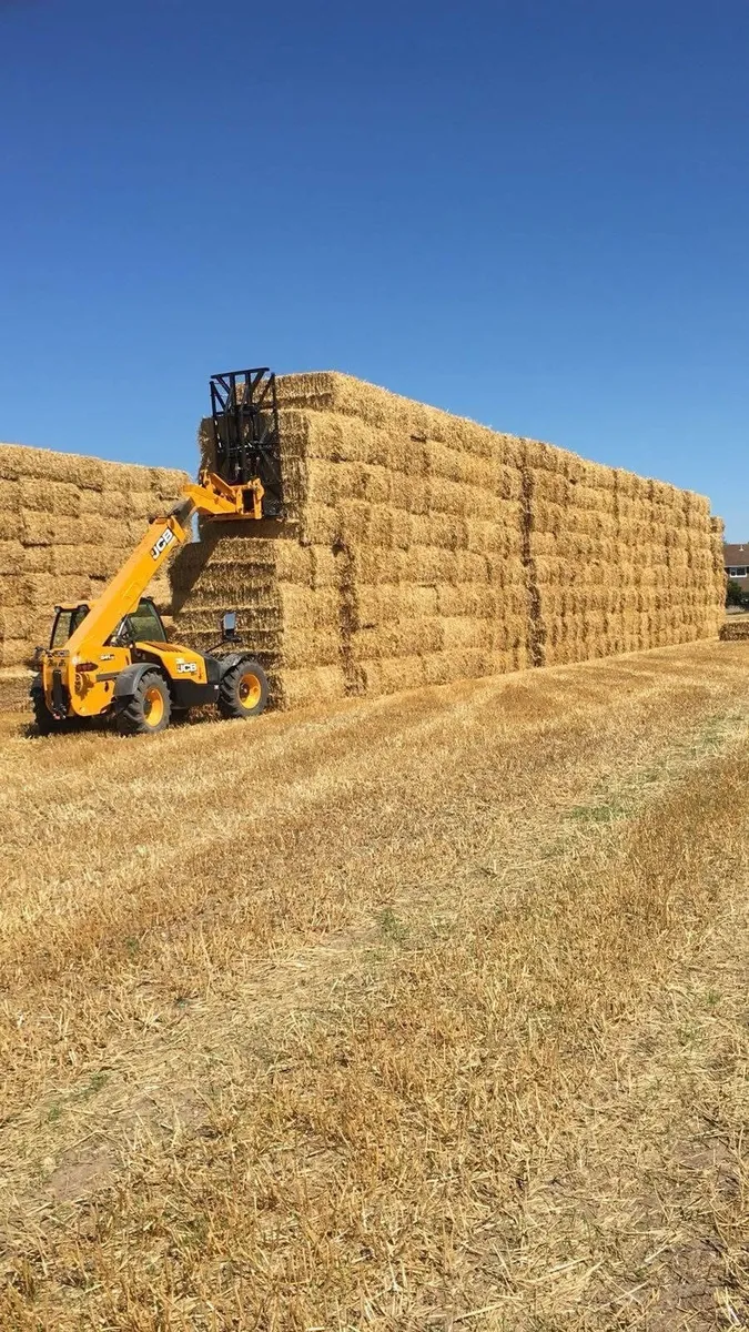 UK Harvest Staff Wanted - Image 2