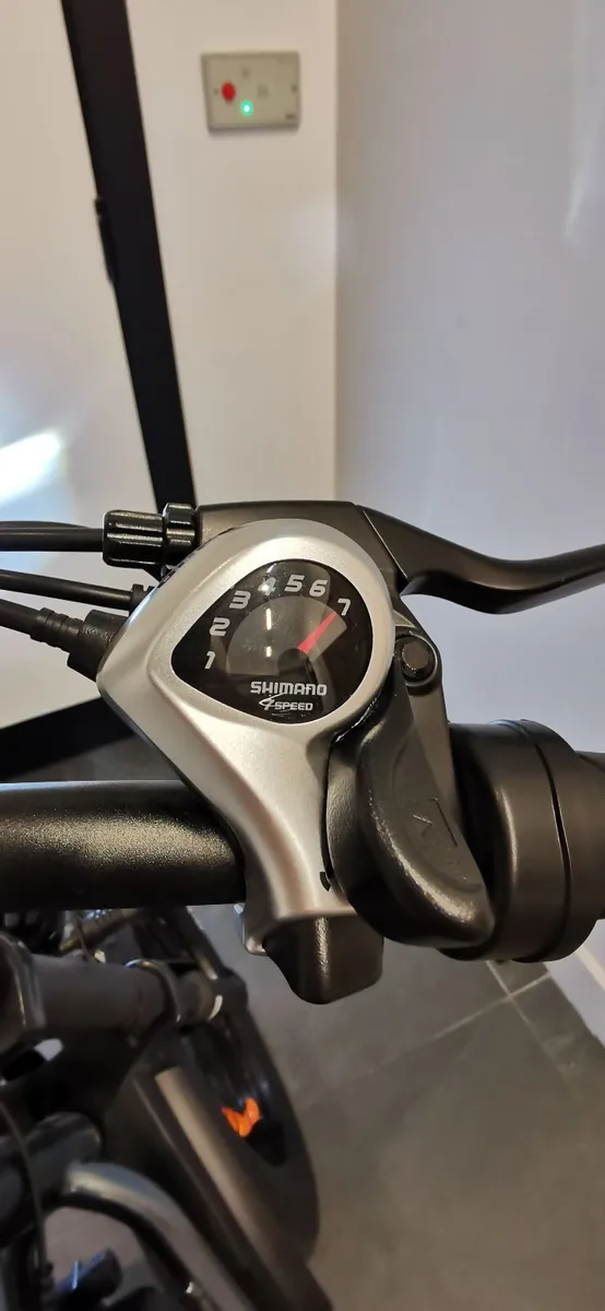 Electric Bike - Image 3