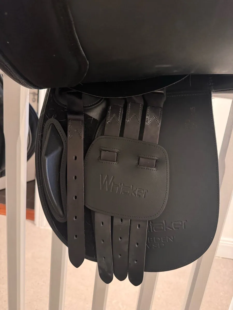 John Whitaker Show Hunter Saddle - Image 3