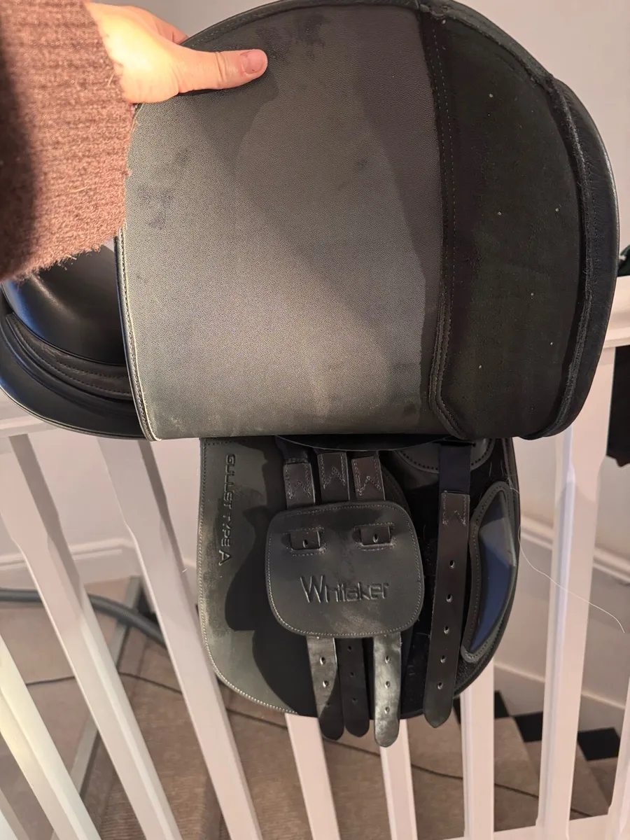 John Whitaker Show Hunter Saddle - Image 4