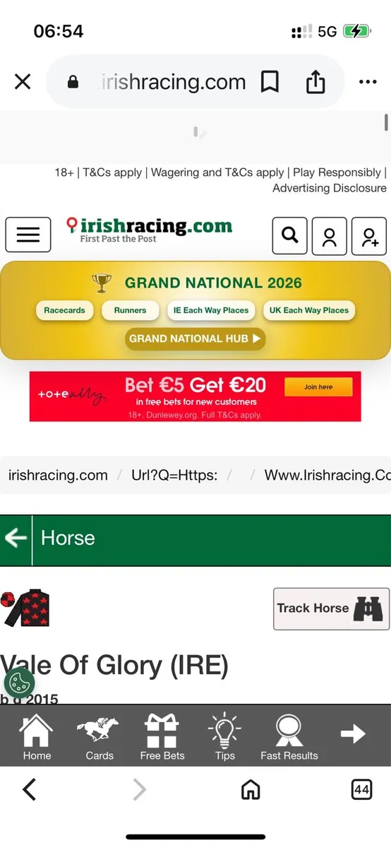 T b horses for sale - Image 2