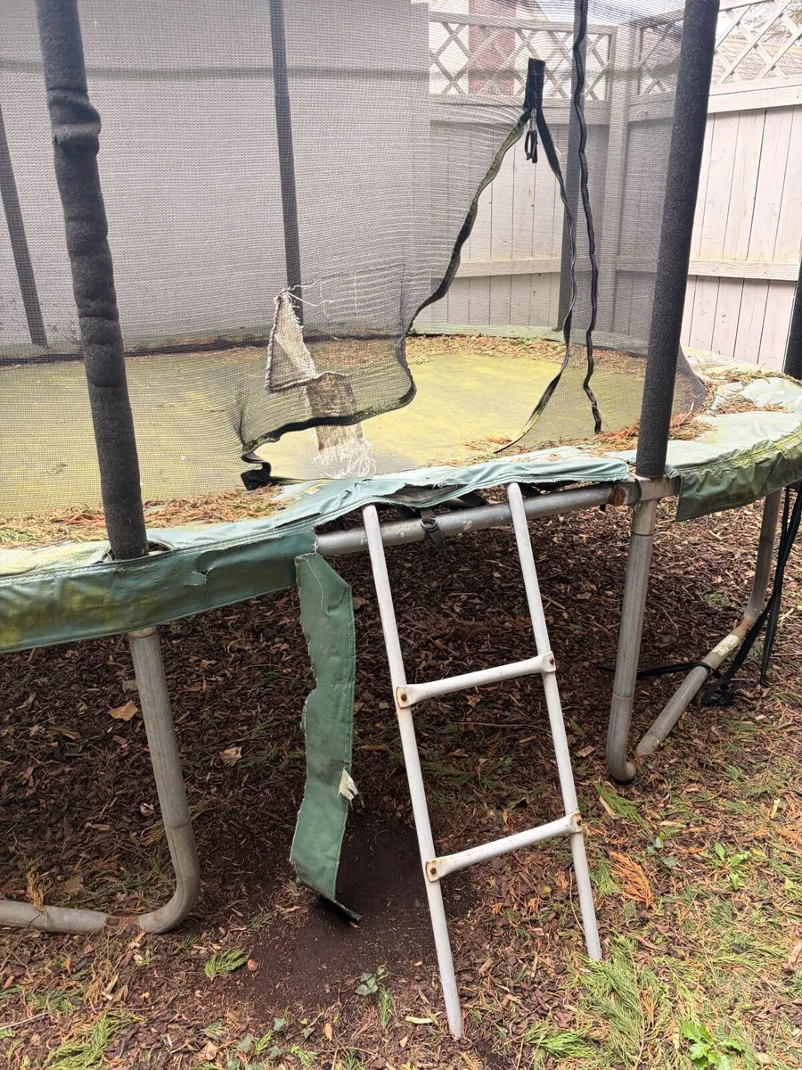 FREE Jumpking Trampoline - Image 2