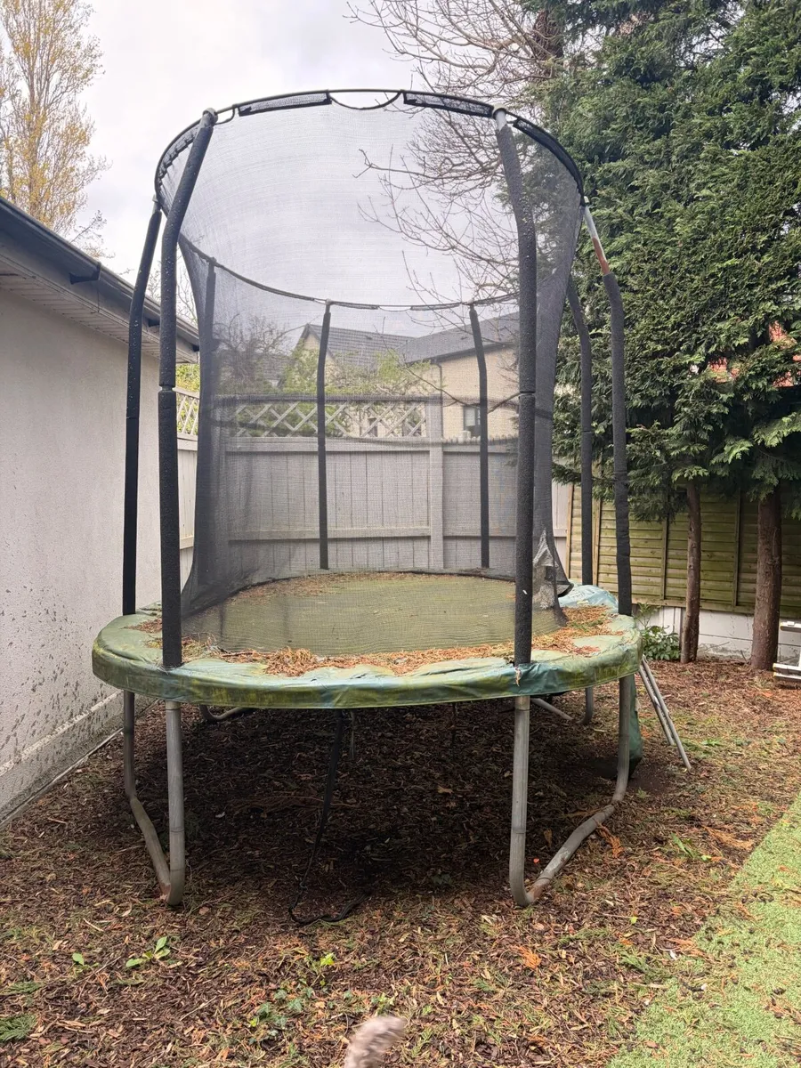 FREE Jumpking Trampoline - Image 1
