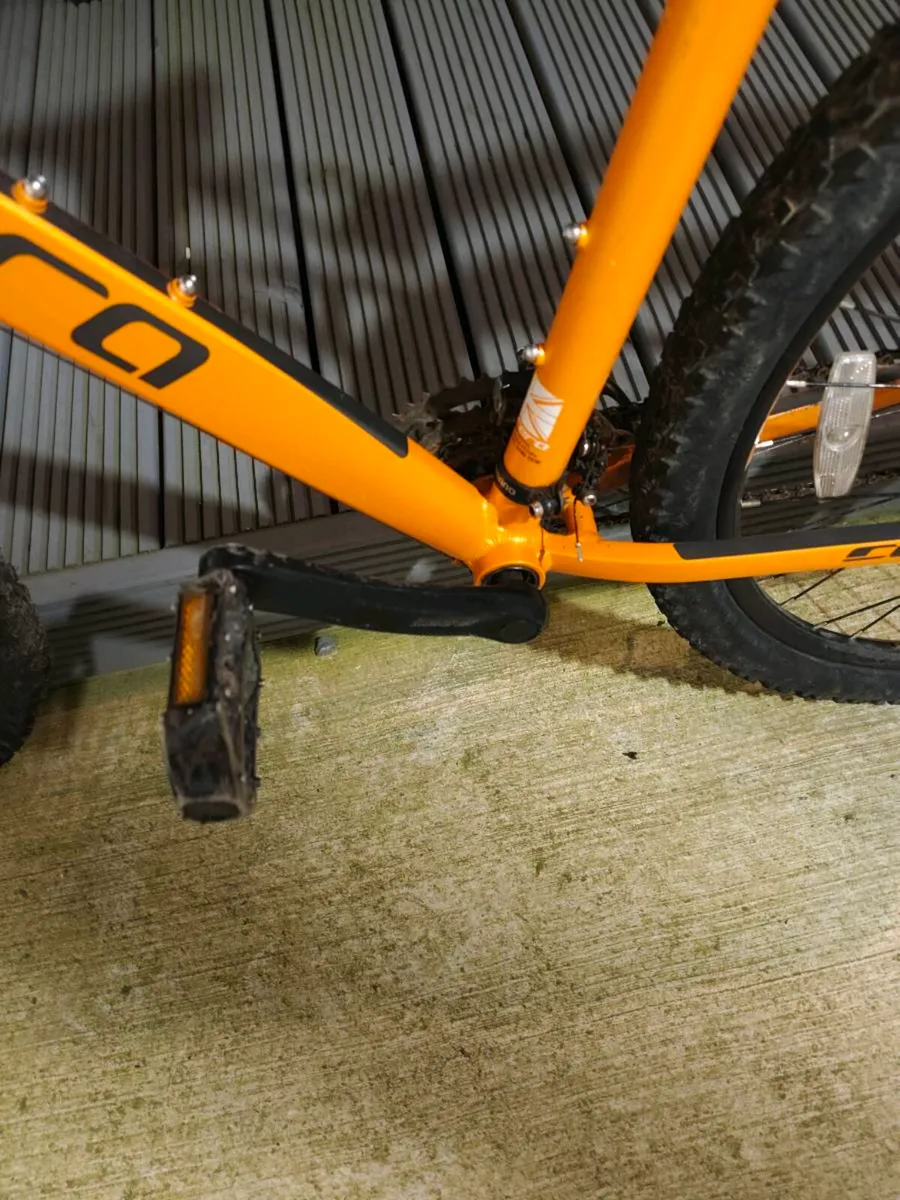 Carrera bike - Image 4