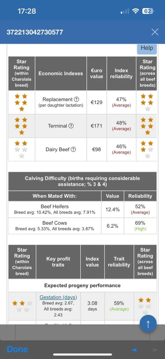 PBR Charolais Bull - Image 3