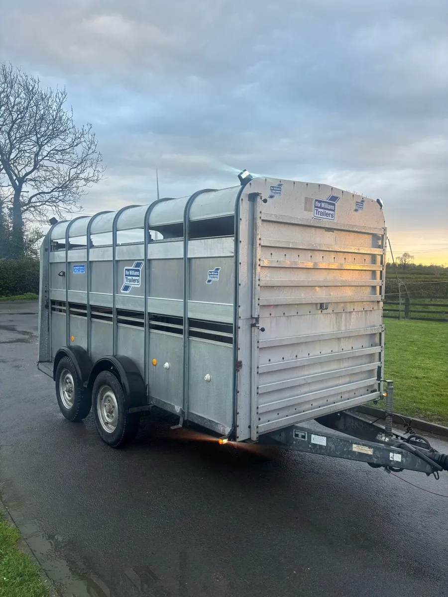 Iforwilliams cattle trailer - Image 1