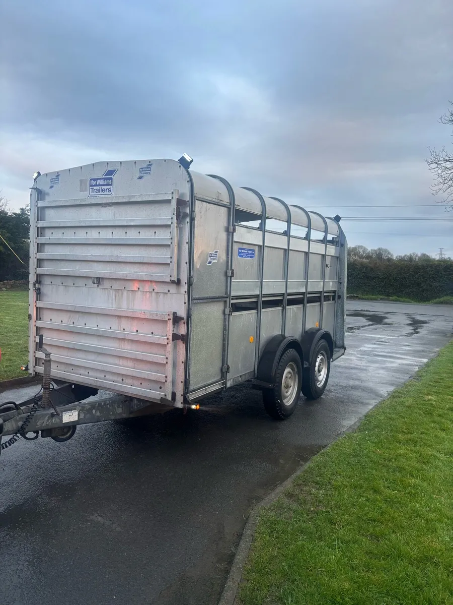 Iforwilliams cattle trailer - Image 2