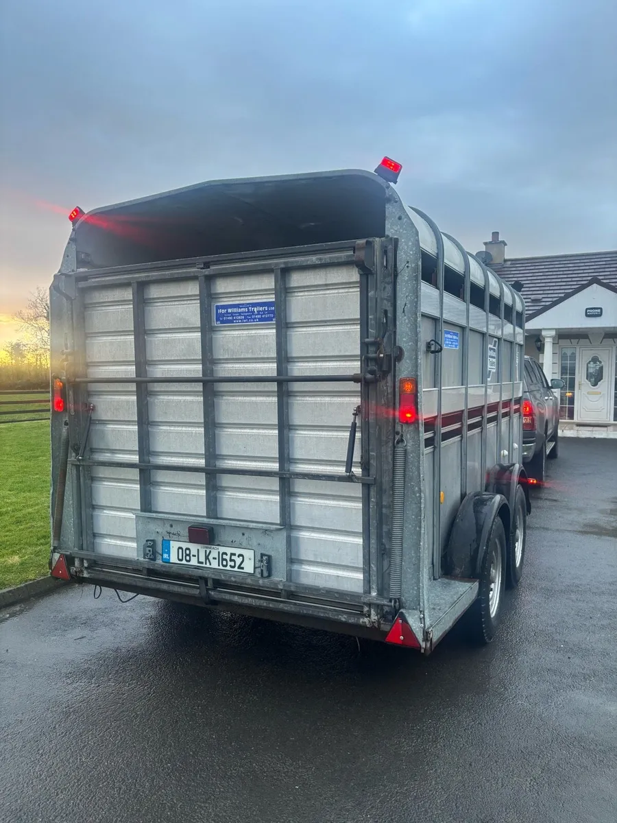 Iforwilliams cattle trailer - Image 3
