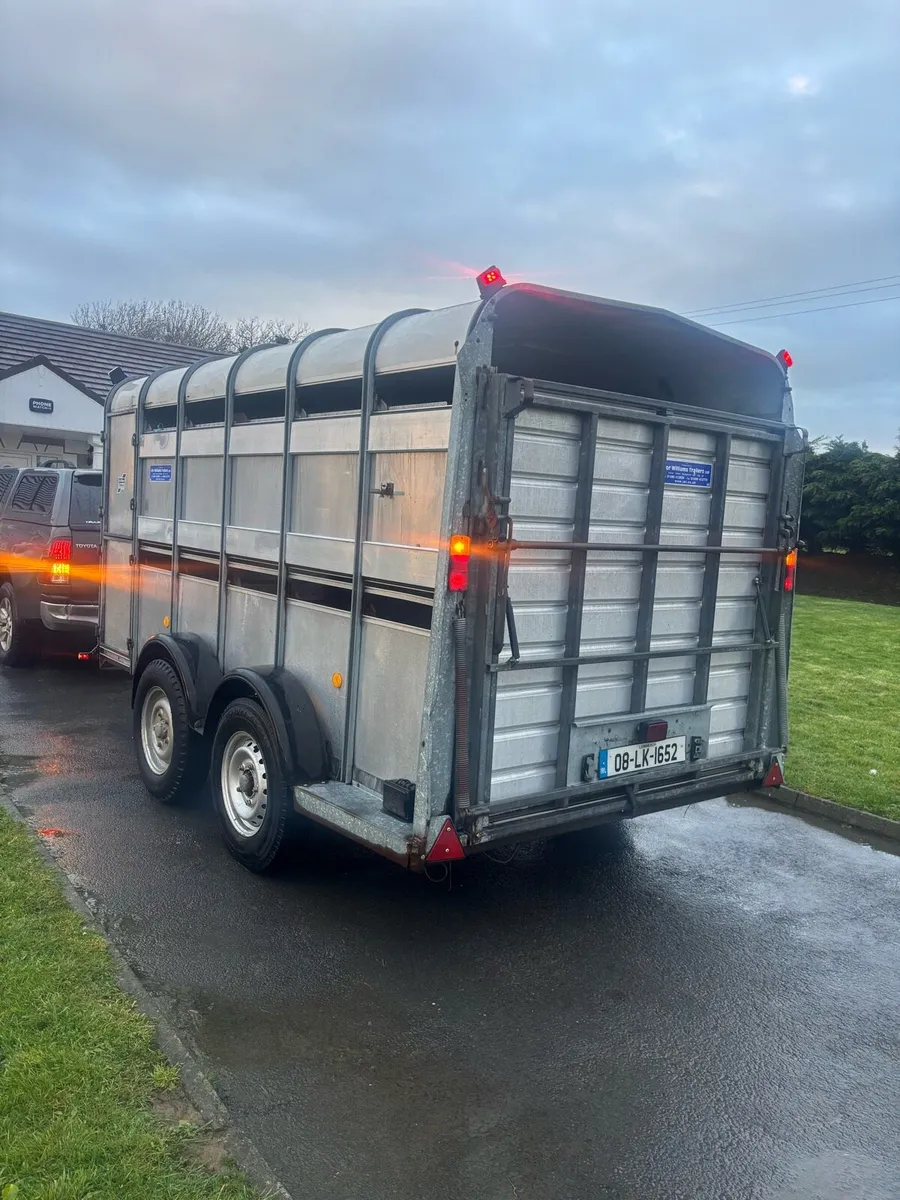 Iforwilliams cattle trailer - Image 4