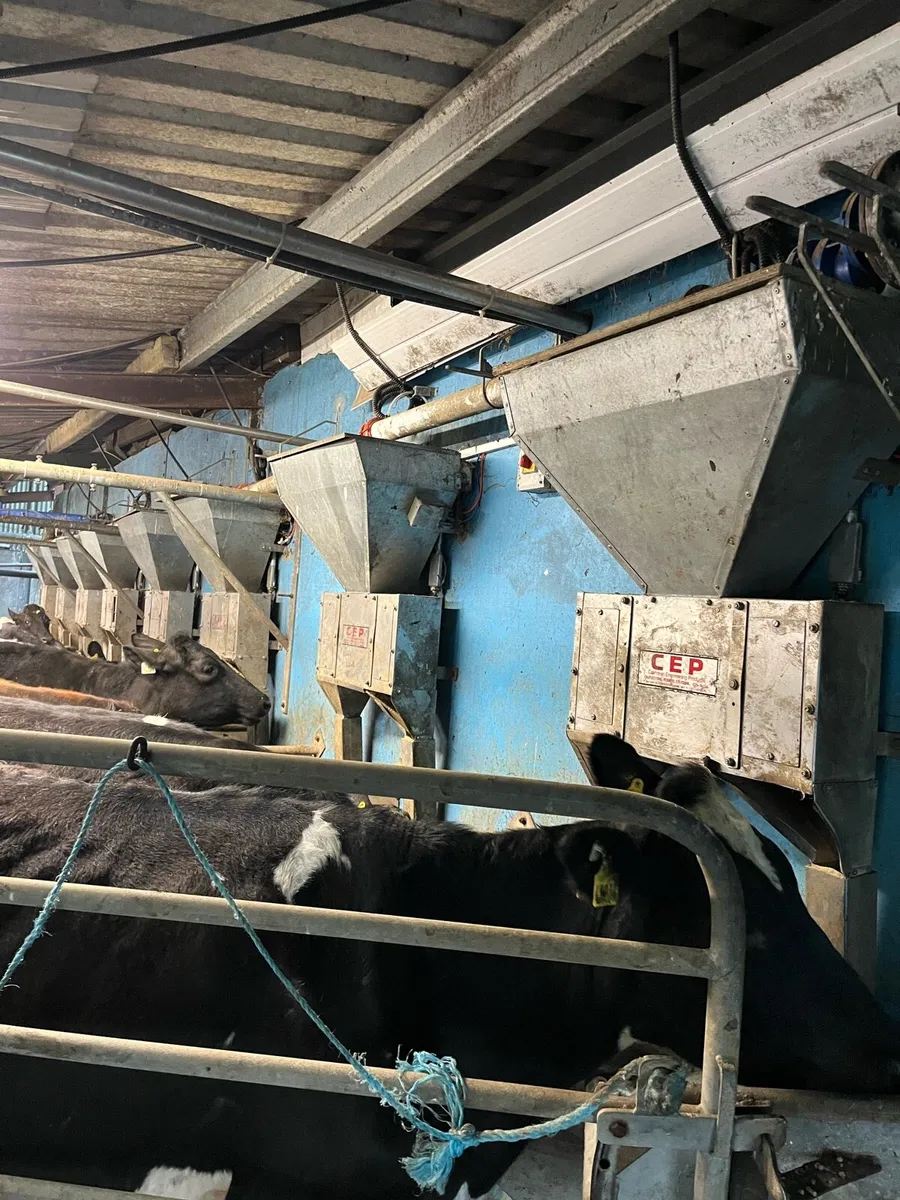 Cashman parlour feeders - Image 1