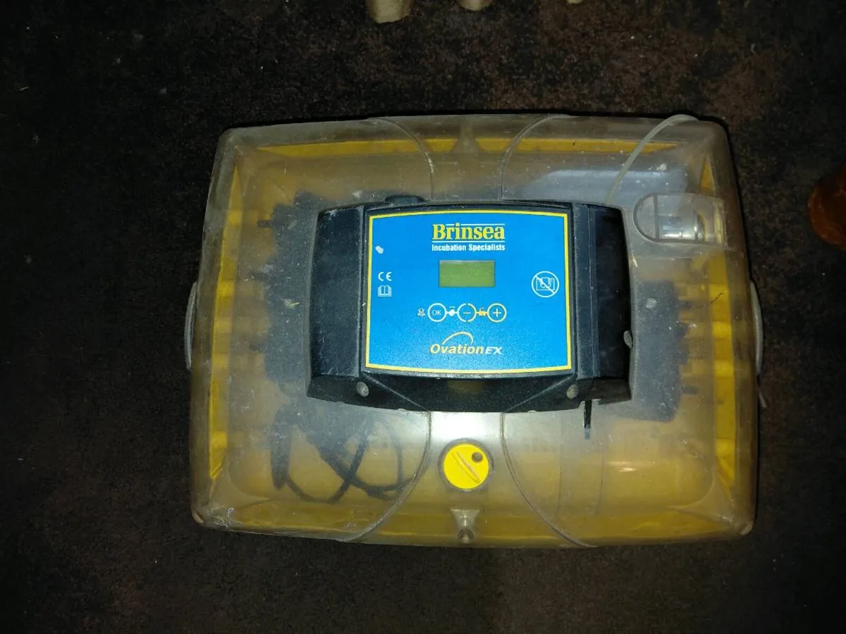 Incubater poultry - Image 1