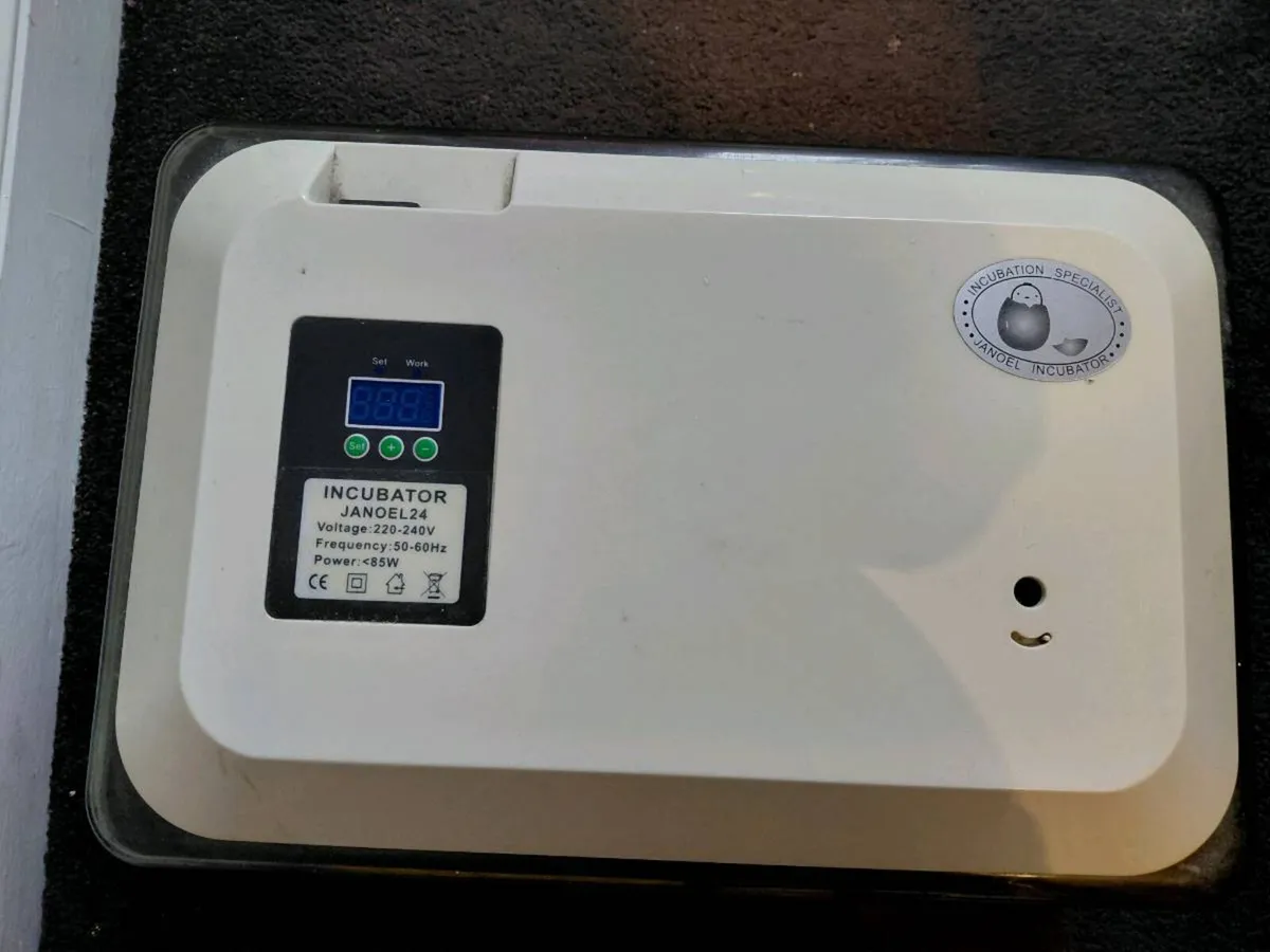 Incubater poultry - Image 2
