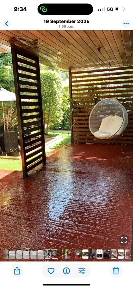 Stunning Designer Garden  and Bubble chair - Image 4