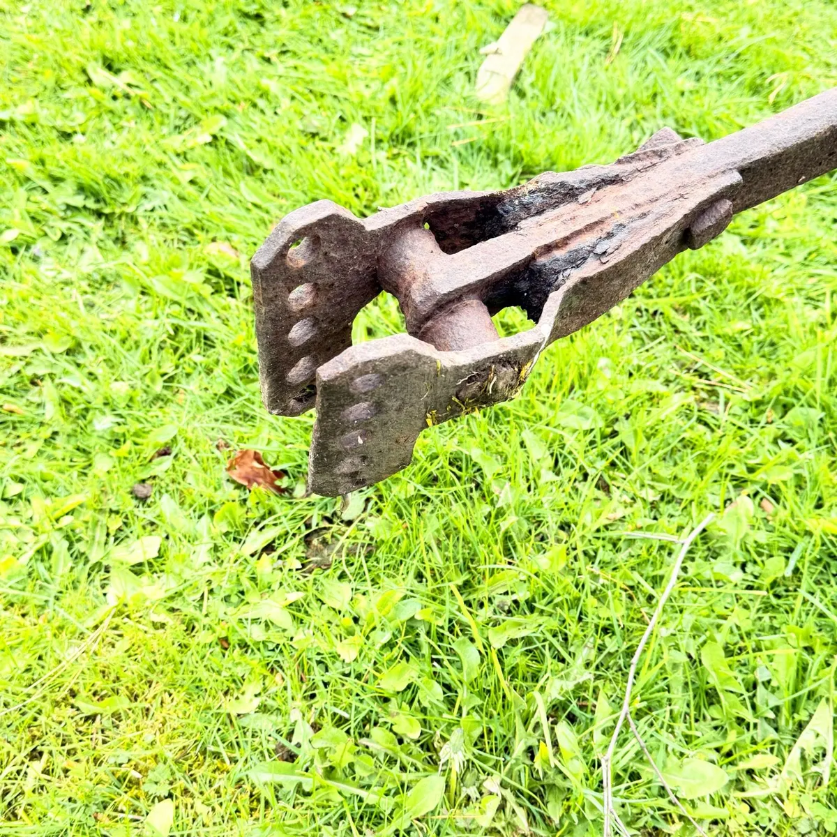 Vintage horse plough - Image 4