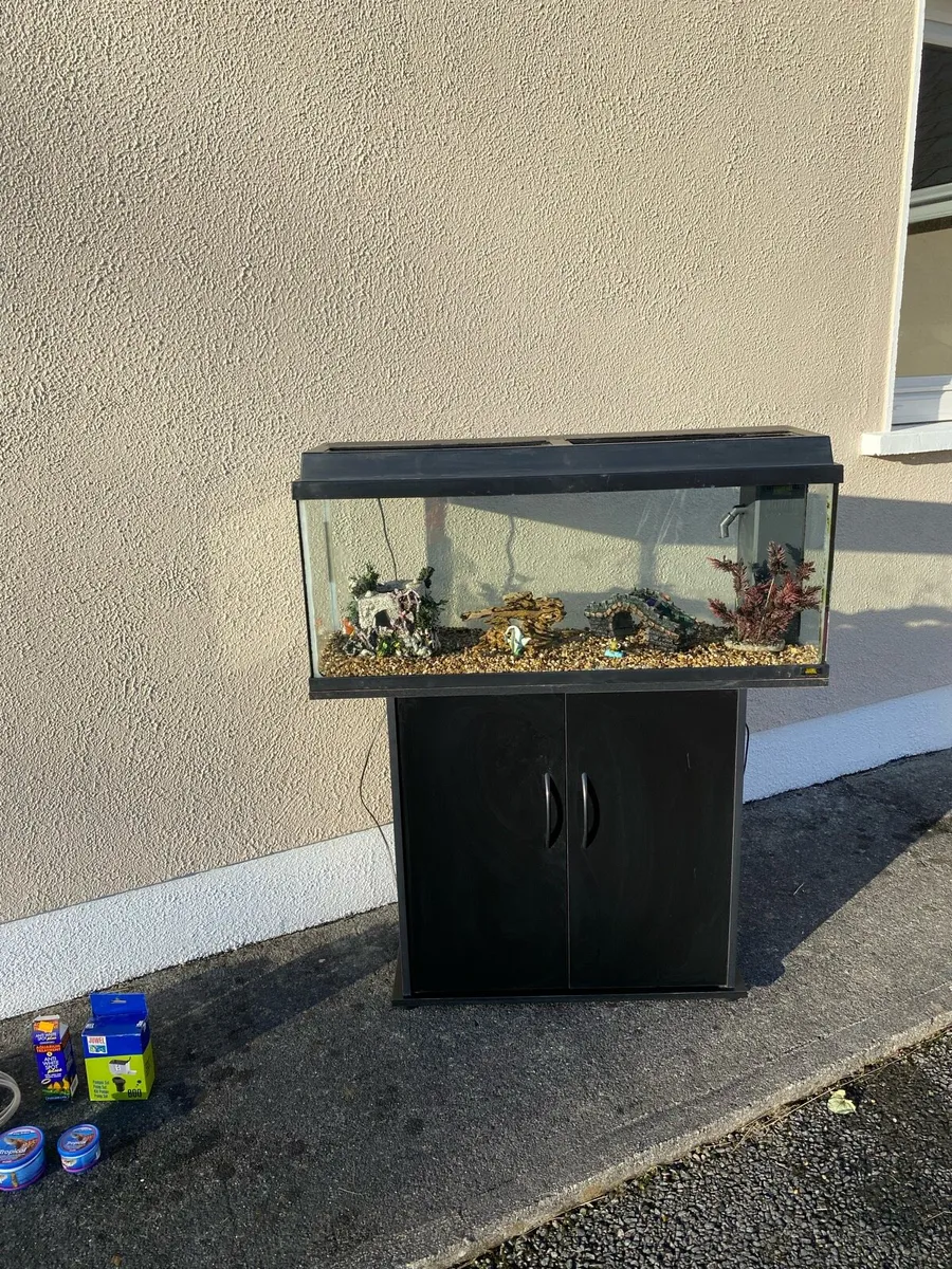 Fish tank - Image 1