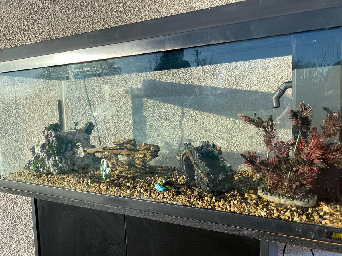 Fish tank - Image 2