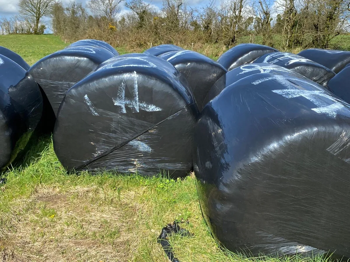 Silage Bales - Image 2