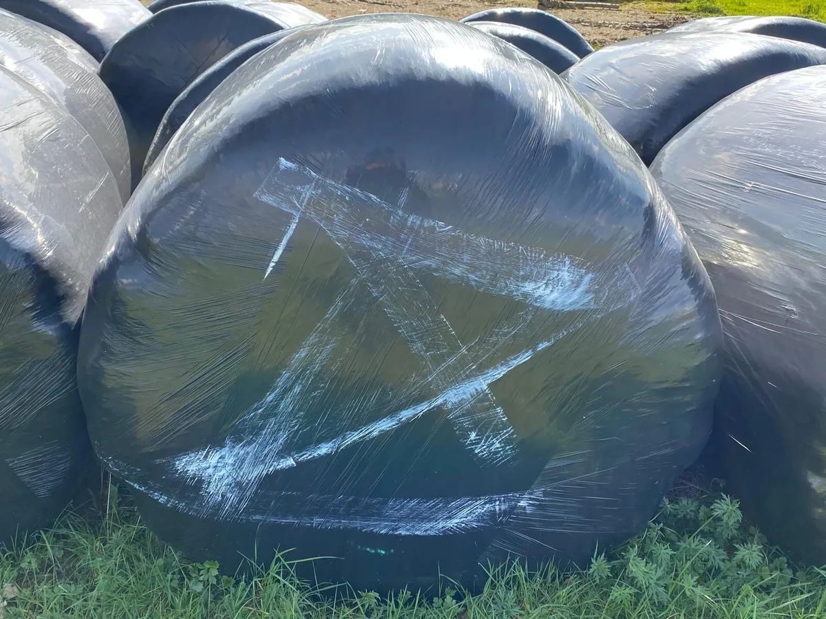 Silage Bales - Image 1