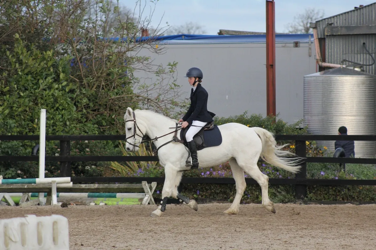 ⭐️Ella⭐️ - Image 2