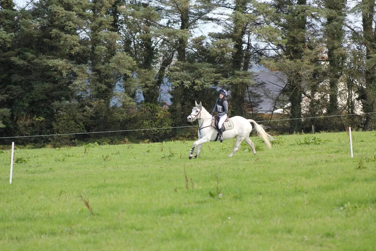 ⭐️Ella⭐️ - Image 3