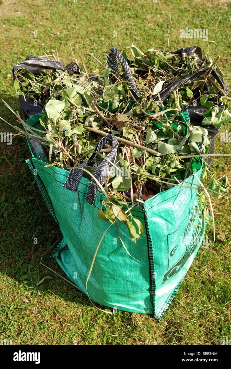 Rubbish removal - Image 3